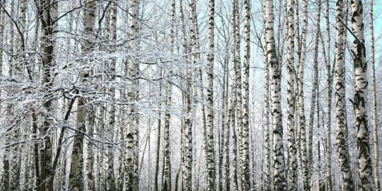 February 16: Facts & Historical Events On This Day