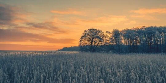 February 2: Facts & Historical Events On This Day