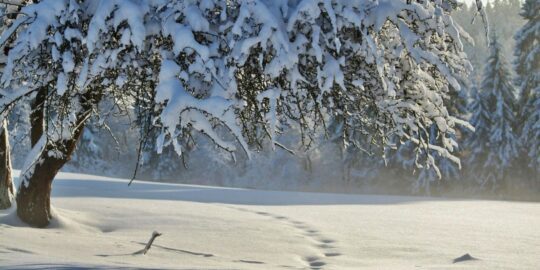 February 20: Facts & Historical Events On This Day