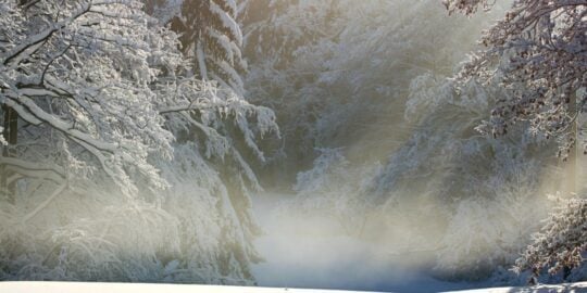 February 21: Facts & Historical Events On This Day