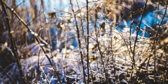 February 22: Facts & Historical Events On This Day