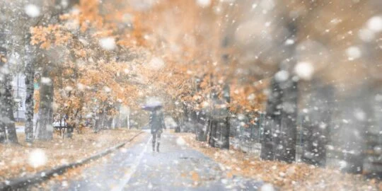 February 24: Facts & Historical Events On This Day