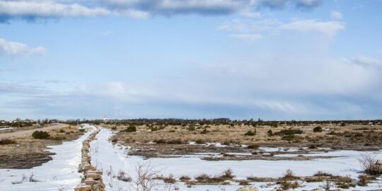 February 25: Facts & Historical Events On This Day