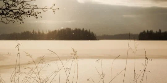 February 26: Facts & Historical Events On This Day