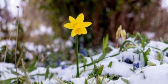 February 28: Facts & Historical Events On This Day