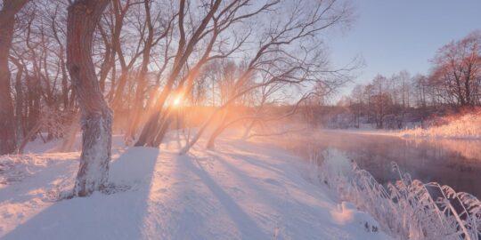 February 4: Facts & Historical Events On This Day