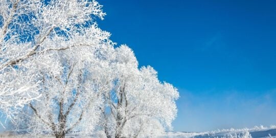 February 5: Facts & Historical Events On This Day