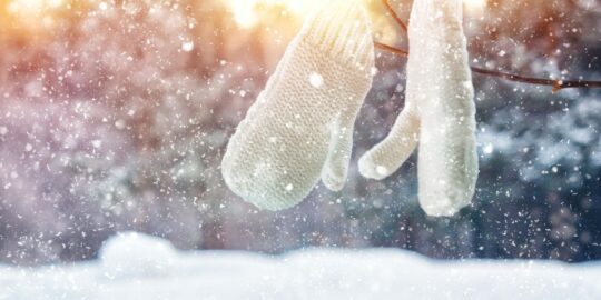 February 7: Facts & Historical Events On This Day