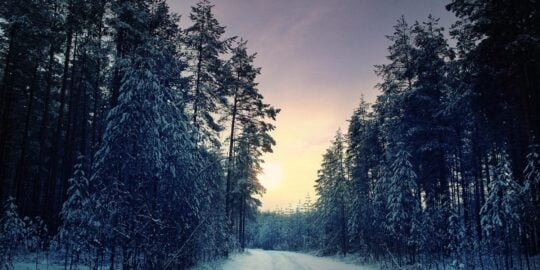 January 10: Facts & Historical Events On This Day