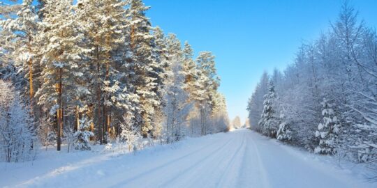 January 12: Facts & Historical Events On This Day