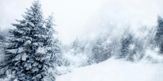 January 14: Facts & Historical Events On This Day