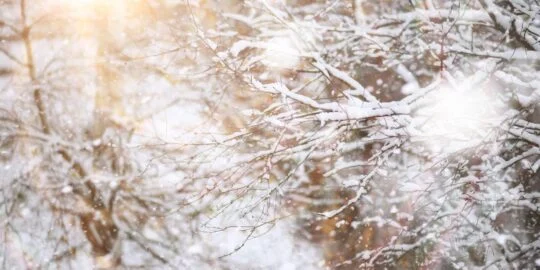 January 17: Facts & Historical Events On This Day