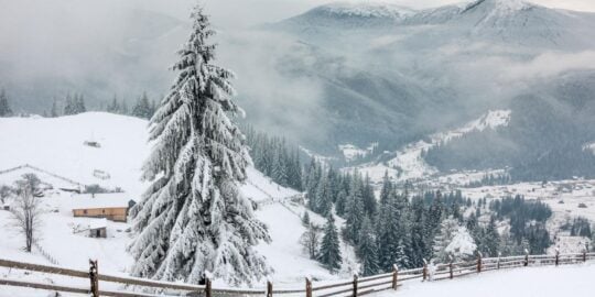 January 18: Facts & Historical Events On This Day