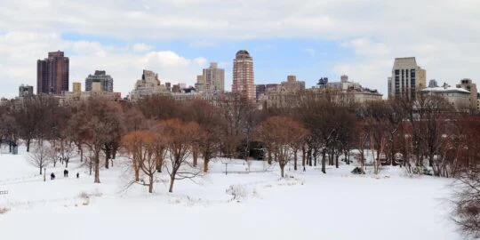 January 19: Facts & Historical Events On This Day