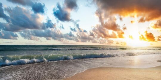 January 23: Facts & Historical Events On This Day