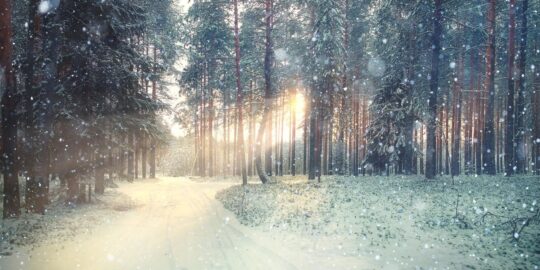 January 3: Facts & Historical Events On This Day