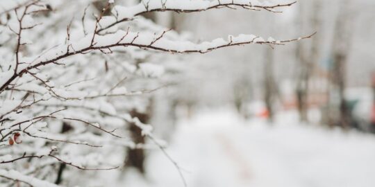 January 4: Facts & Historical Events On This Day