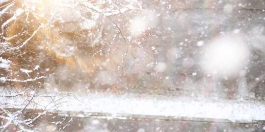 January 5: Facts & Historical Events On This Day