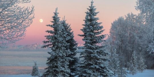 January 6: Facts & Historical Events On This Day