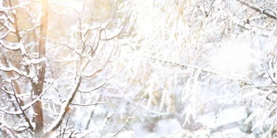 January 7: Facts & Historical Events On This Day