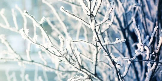 January 8: Facts & Historical Events On This Day