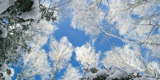 January 9: Facts & Historical Events On This Day