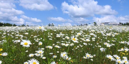 July 10: Facts & Historical Events On This Day