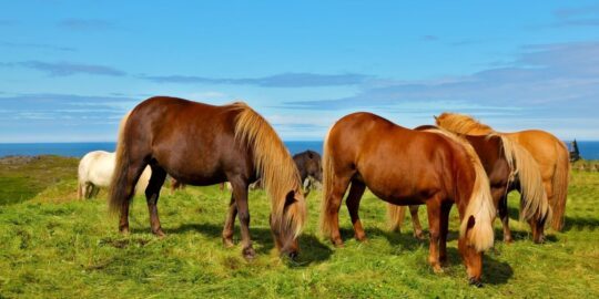 July 11: Facts & Historical Events On This Day