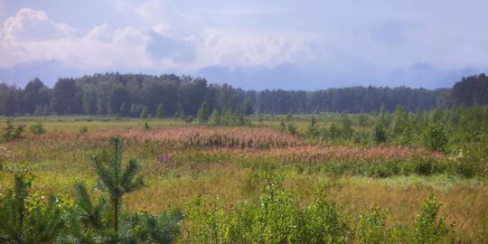 July 15: Facts & Historical Events On This Day