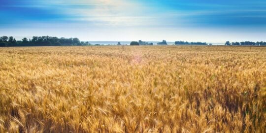 July 20: Facts & Historical Events On This Day