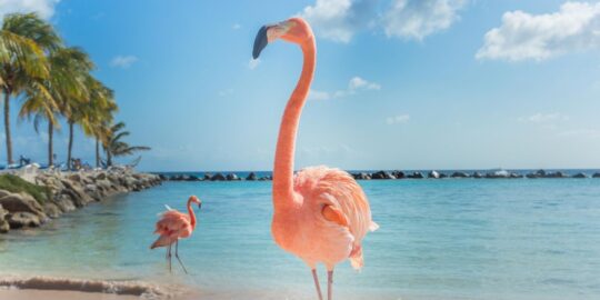 July 22: Facts & Historical Events On This Day