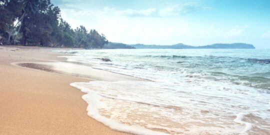 July 23: Facts & Historical Events On This Day