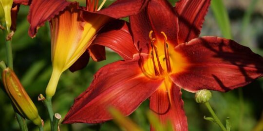 July 26: Facts & Historical Events On This Day