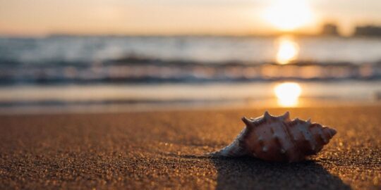 July 3: Facts & Historical Events On This Day