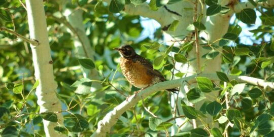 July 30: Facts & Historical Events On This Day