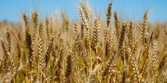 July 5: Facts & Historical Events On This Day