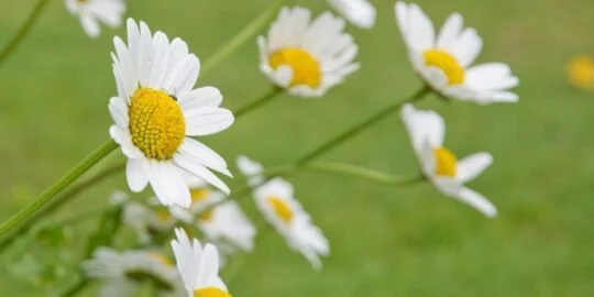 July 6: Facts & Historical Events On This Day