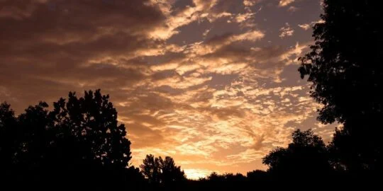 July 7: Facts & Historical Events On This Day