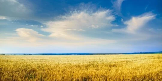 July 8: Facts & Historical Events On This Day