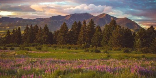 June 11: Facts & Historical Events On This Day