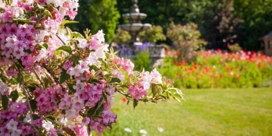 June 12: Facts & Historical Events On This Day