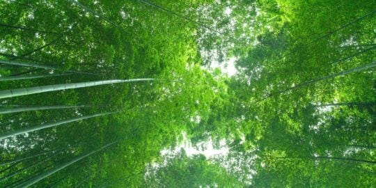 June 13: Facts & Historical Events On This Day