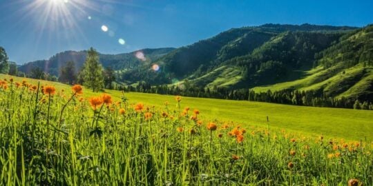 June 14: Facts & Historical Events On This Day