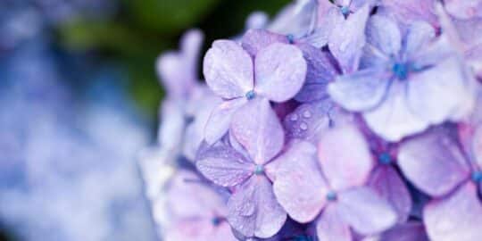 June 16: Facts & Historical Events On This Day