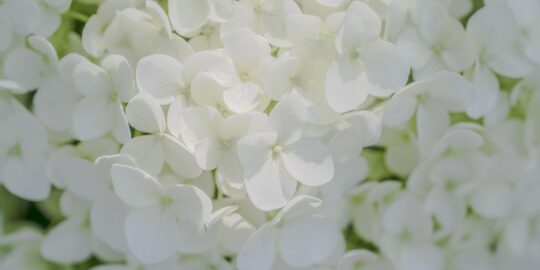 June 18: Facts & Historical Events On This Day