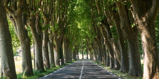 June 19: Facts & Historical Events On This Day