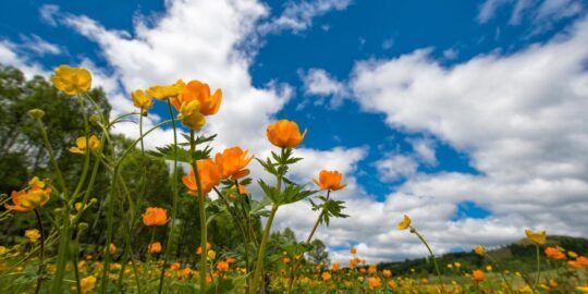 June 2: Facts & Historical Events On This Day