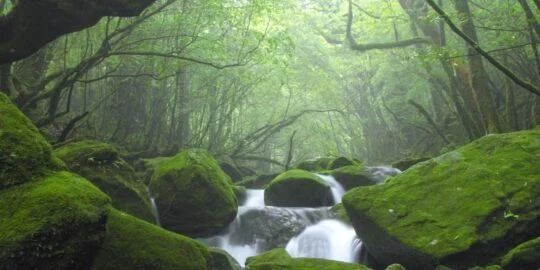 June 22: Facts & Historical Events On This Day