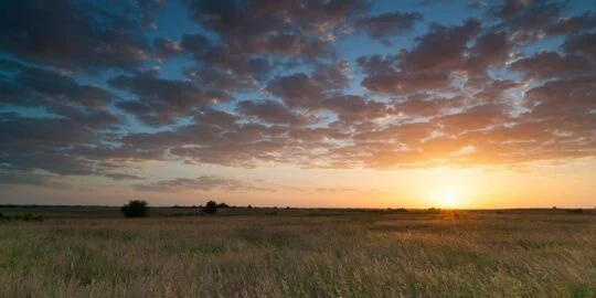 June 23: Facts & Historical Events On This Day