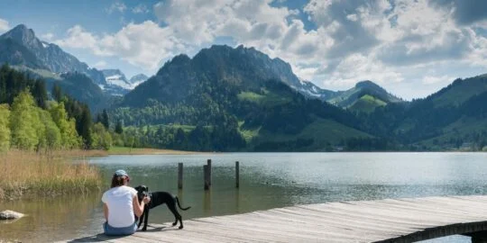 June 26: Facts & Historical Events On This Day